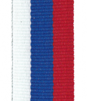 АРТИКУЛ 145